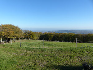 Vue vers l'est depuis Mont St-Romain